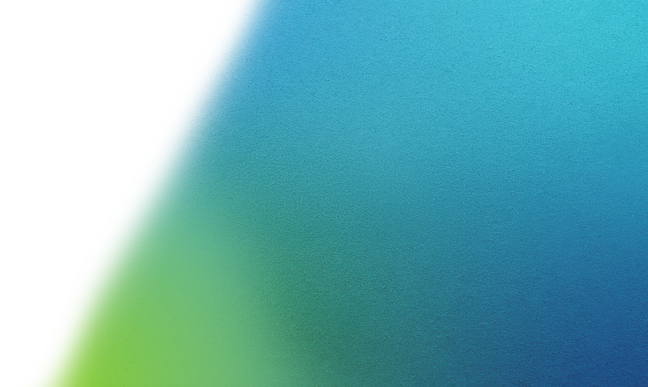 fondo libelulas gradient1